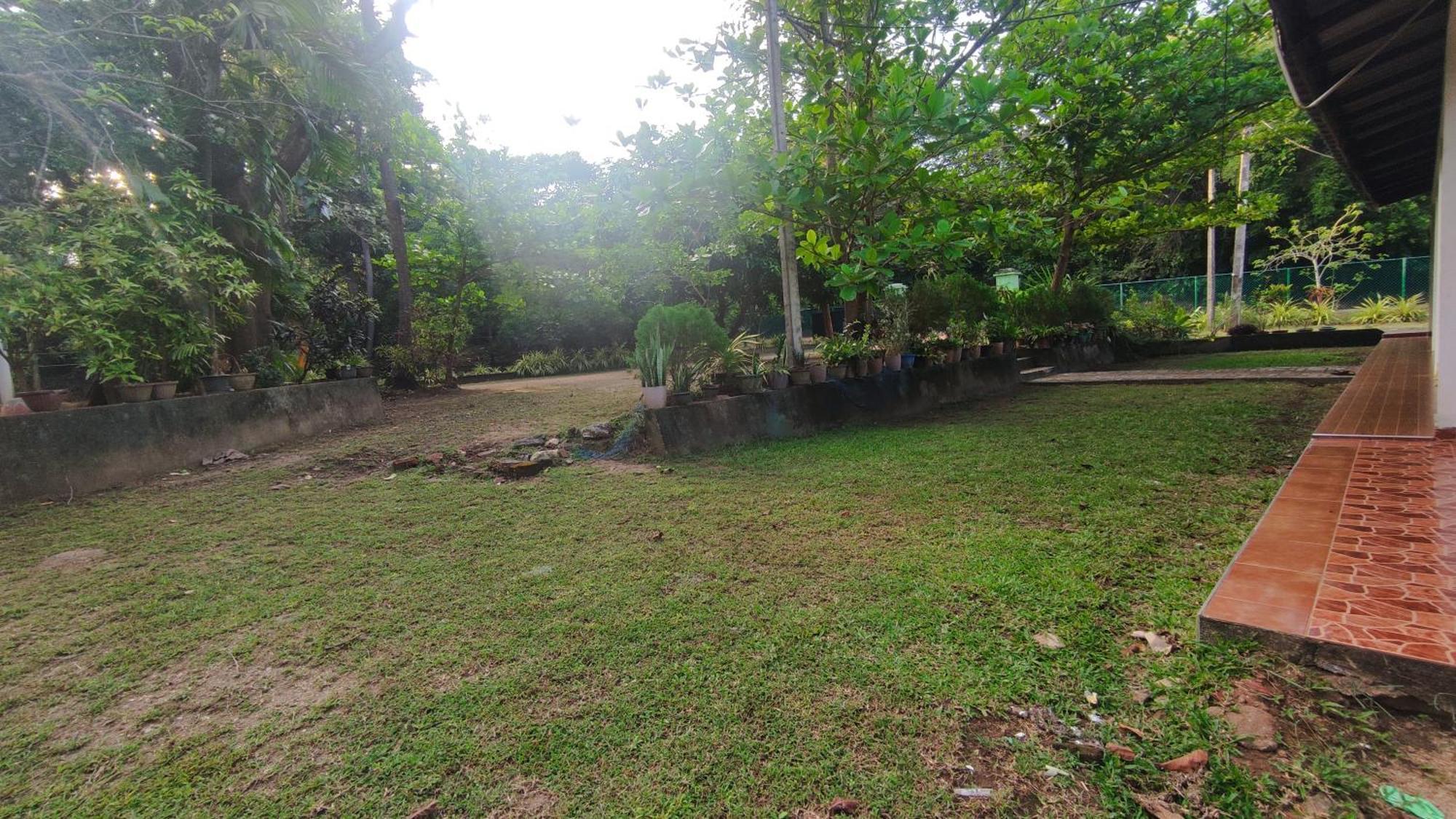 Deer Garden Guest Hotell Polonnaruwa Eksteriør bilde